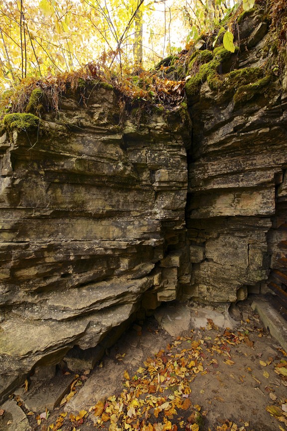 Niagara Escarpment